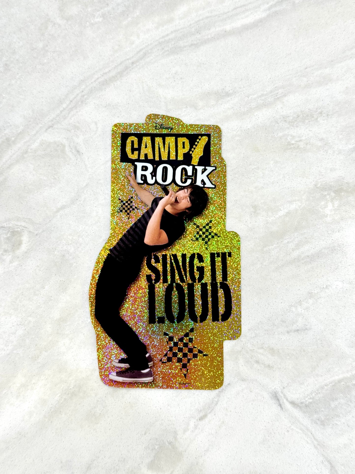 Camp Rock Sticker Set