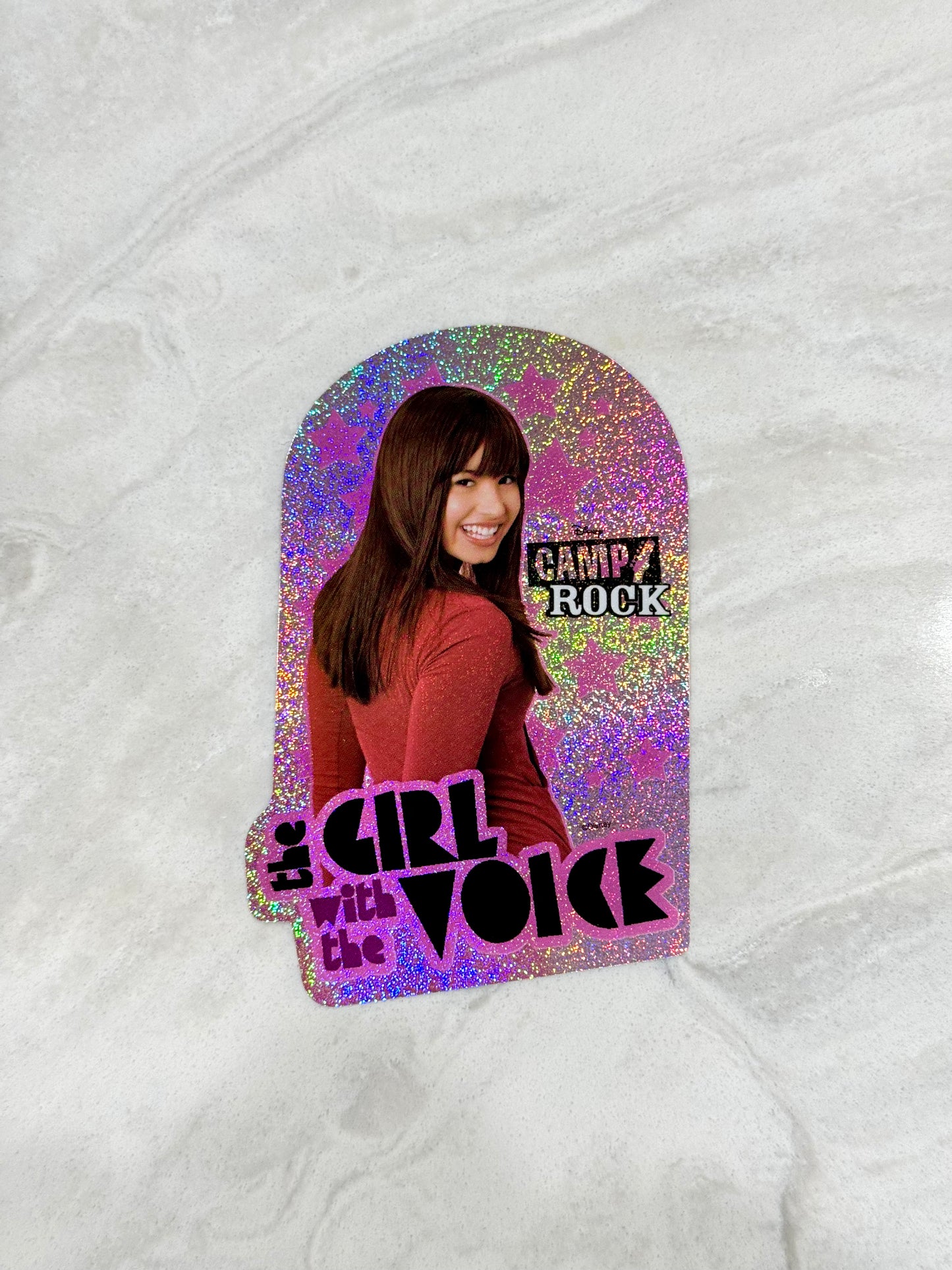 Camp Rock Sticker Set