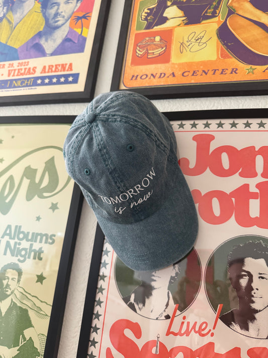 TIN Baseball Hat